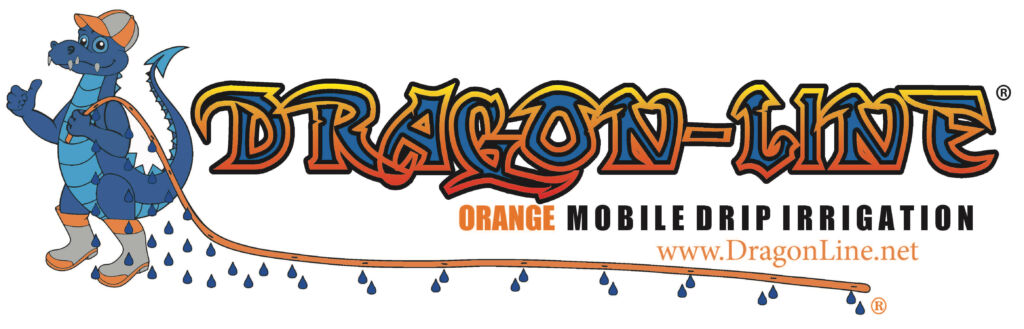 Dragon Line Logo