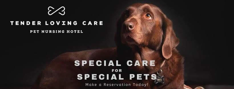 Tender Loving Care Pet Nursing Hotel Ad