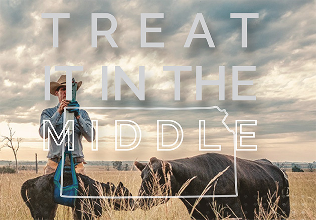 Animal Health in Kansas brochure cover