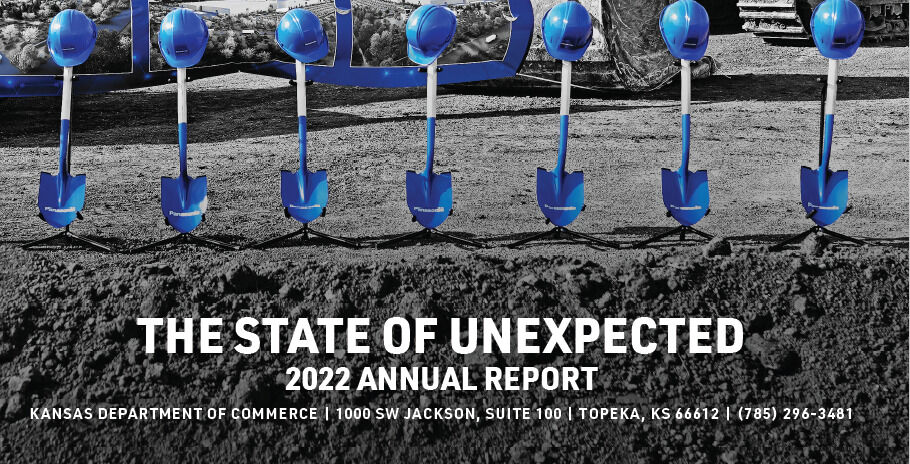 annual report cover 2021