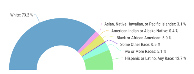 Kansas Population by Race and Ethnicity 
White	73.3
Asian, Native Hawaiian, or Pacific Islander	3.1
American Indian or Alaska Native	0.4
Black or African American	5
Some Other Race	0.5
Two or More Races	5.1
Hispanic or Latino, Any Race	12.7

