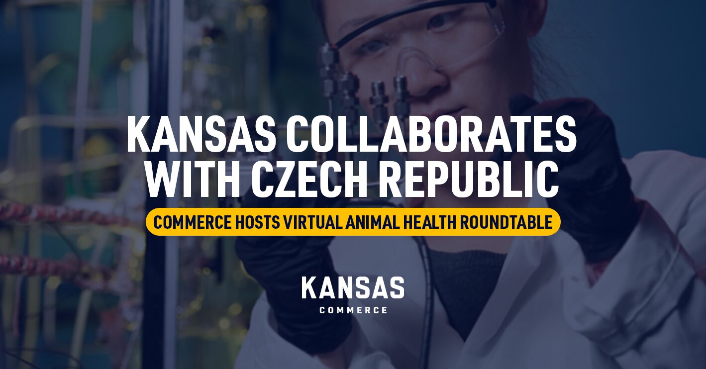 Commerce Hosts Czech Republic and Animal Health Experts for Virtual Roundtable