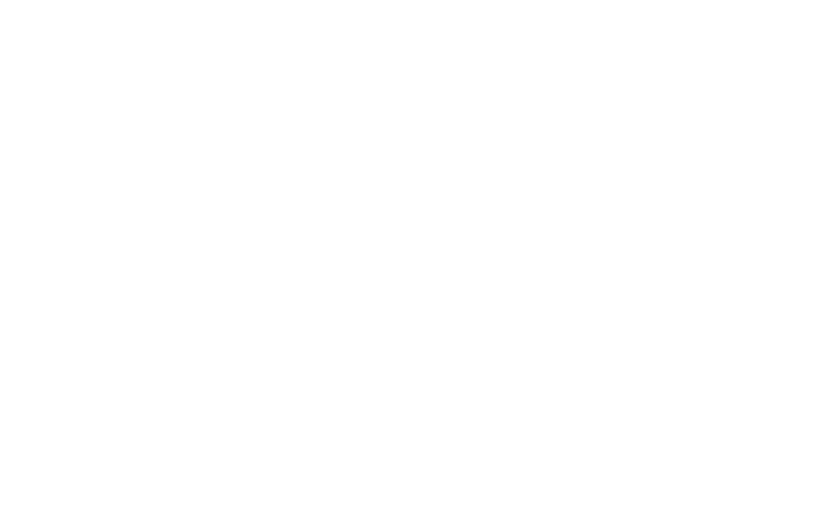 Kansas City Chiefs