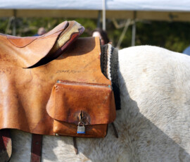Detail of a mail pocket of a saddle on a horse.