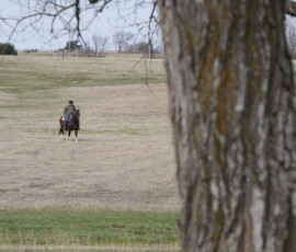 A rider far off in the distance.