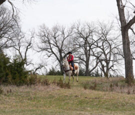 A rider far off in the distance.