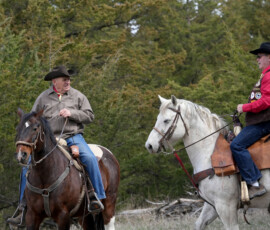 Two riders on horseback pass each other in a grassy field during a Pony Express reenactment