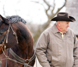 Rider and his horse.