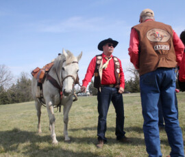 People standing outside in a field with a horse.